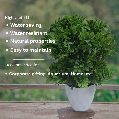 Artificial Mini Bonsai Plant with White Granite Style Pot – 10 Inch Decorative Tabletop Plant for Home & Office Décor